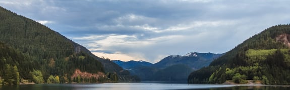 Fish-Wildlife-VOIP-Service-Jungle-River-Mountain